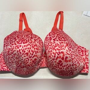 Cacique Red and Pink Leopard Print Bra